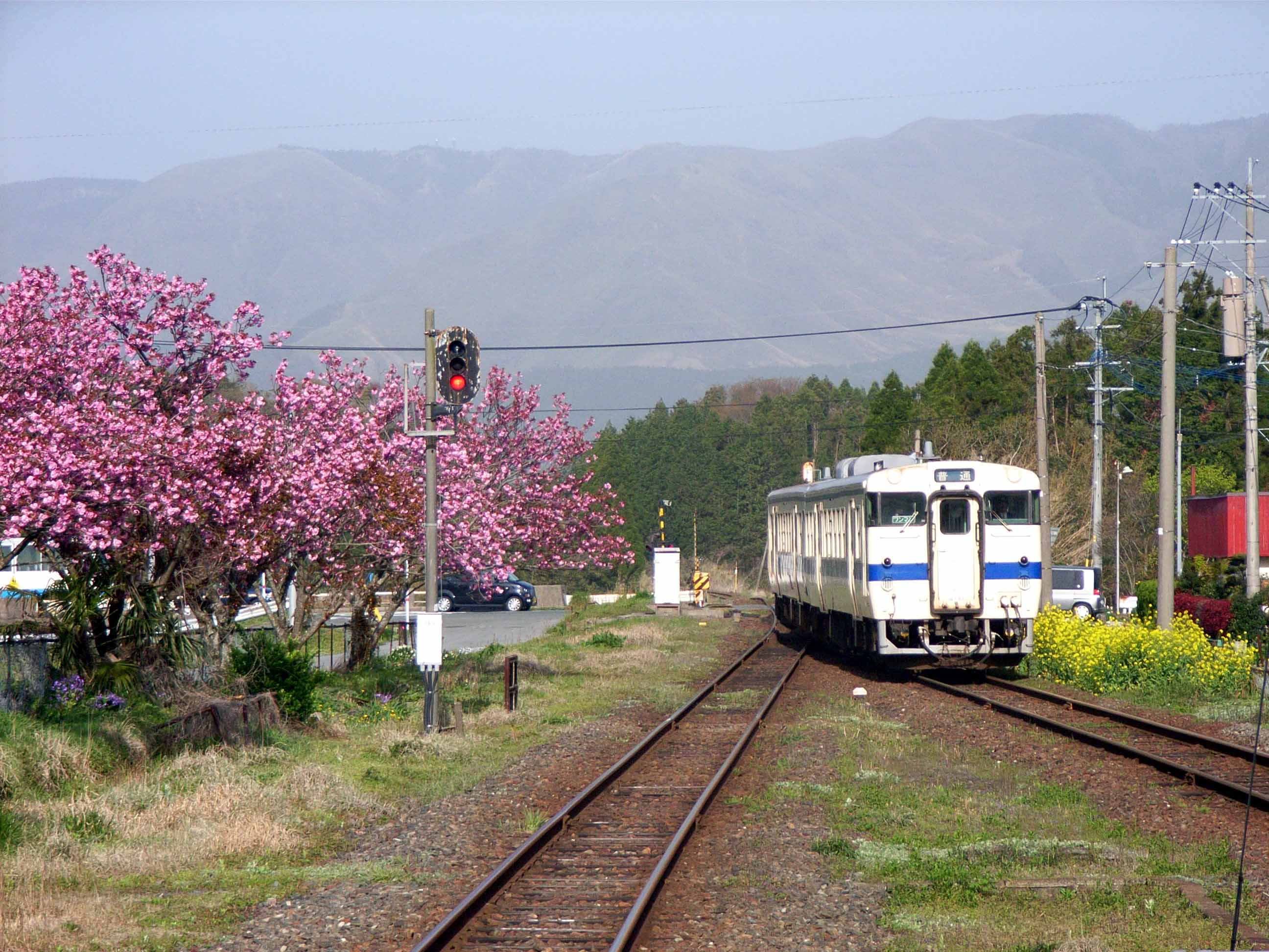 豊肥本線、阿蘇のカルデラを走る列車（撮影：南正時）