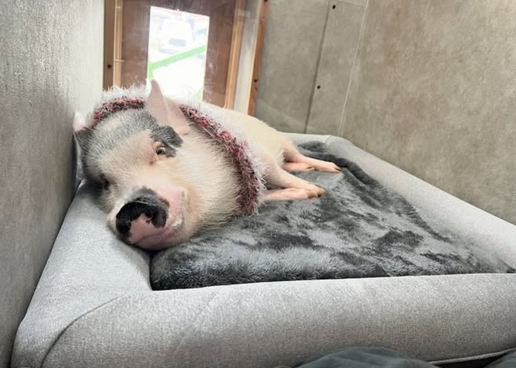 （写真提供：しおりさん）