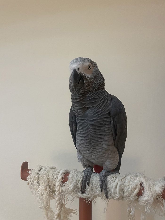 （写真提供：カマタさん）