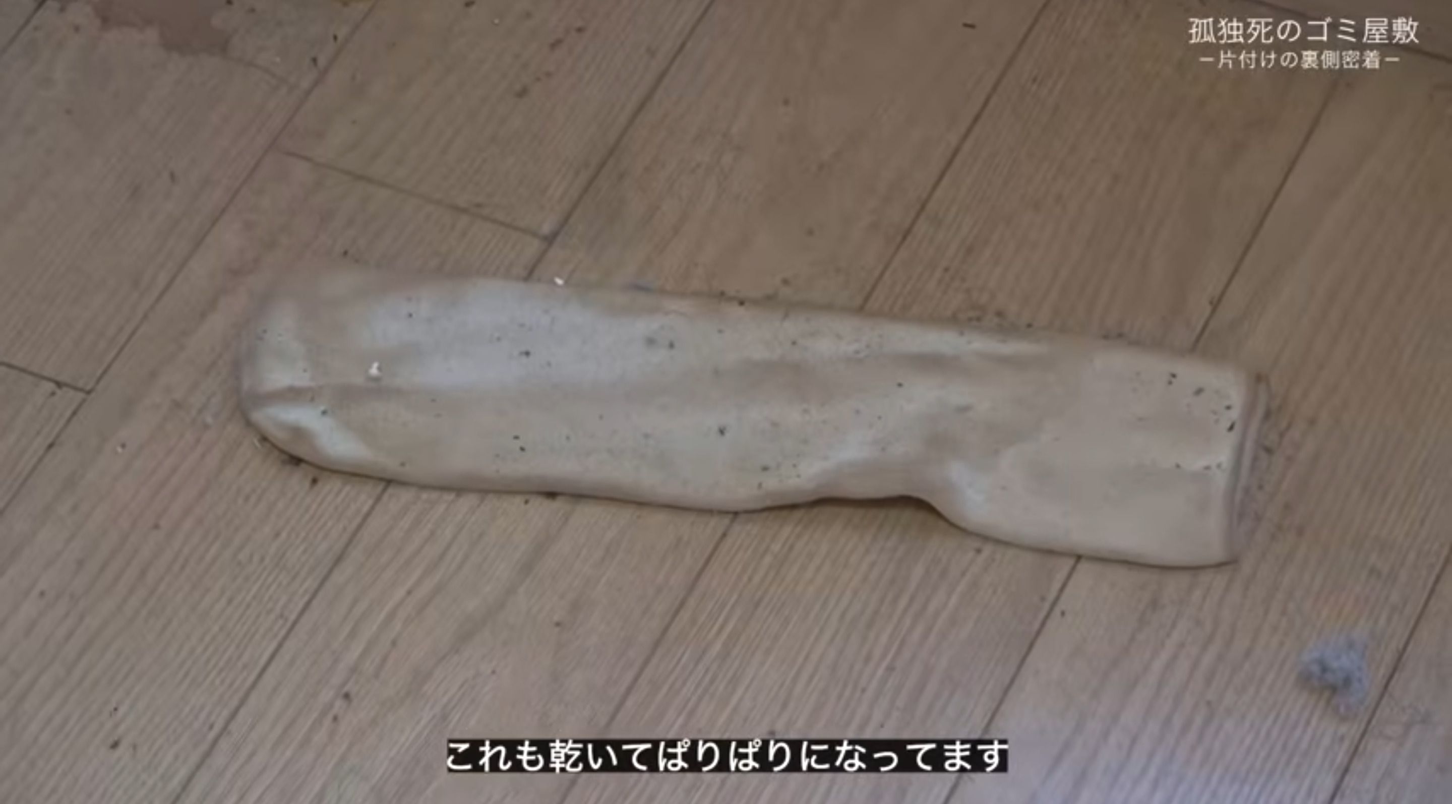ゴミ屋敷