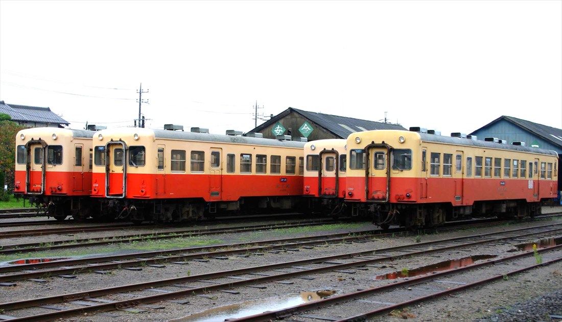 車庫にずらりと並んだ小湊鉄道のキハ200形（撮影：南正時）