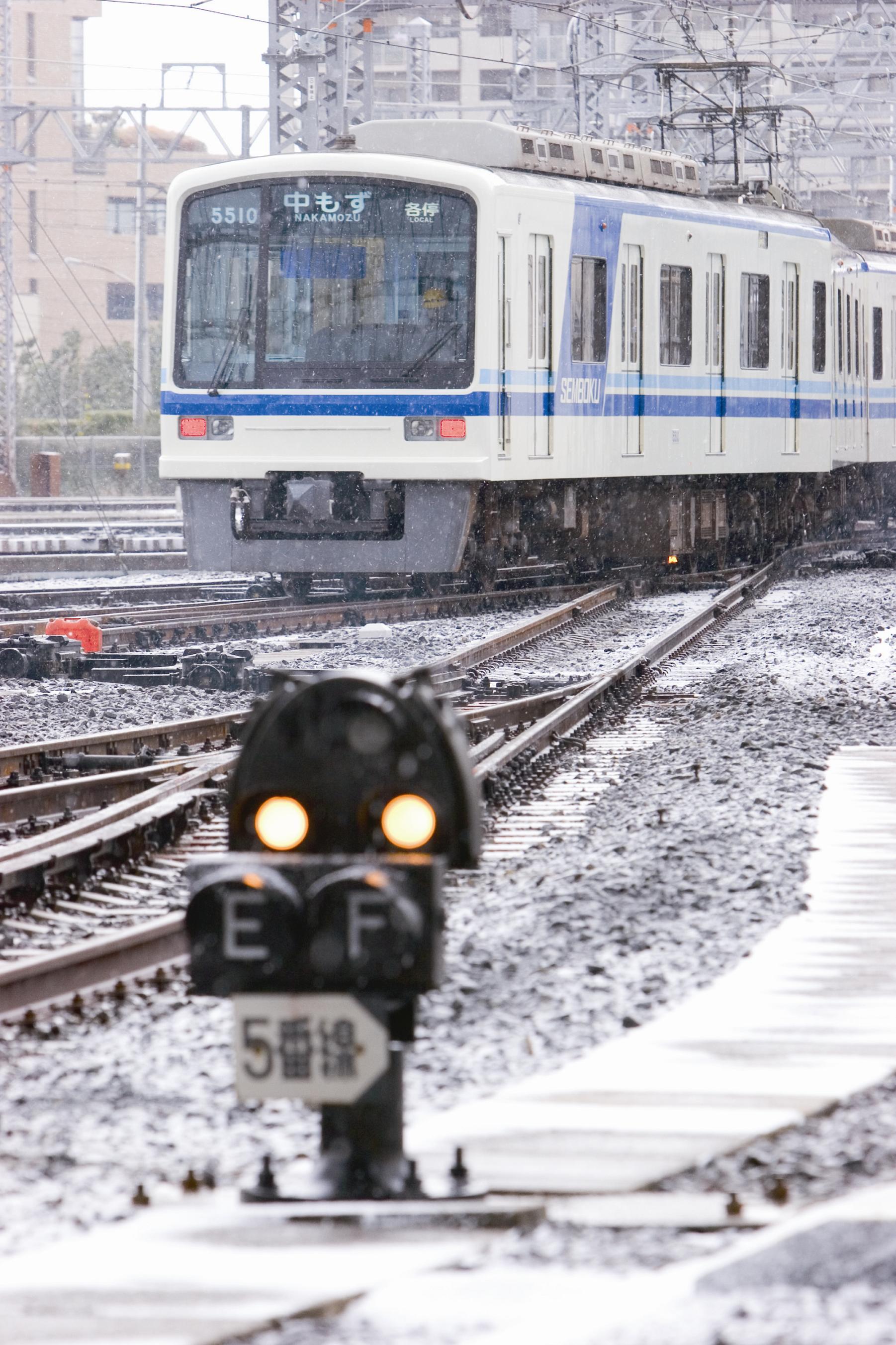 雪の日の「5509編成」（写真：南海電気鉄道）