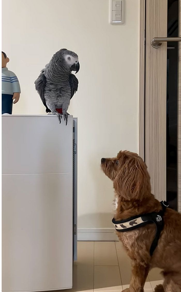 （写真提供：カマタさん）