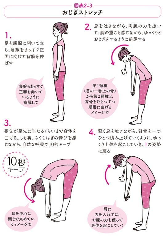 おじぎストレッチ