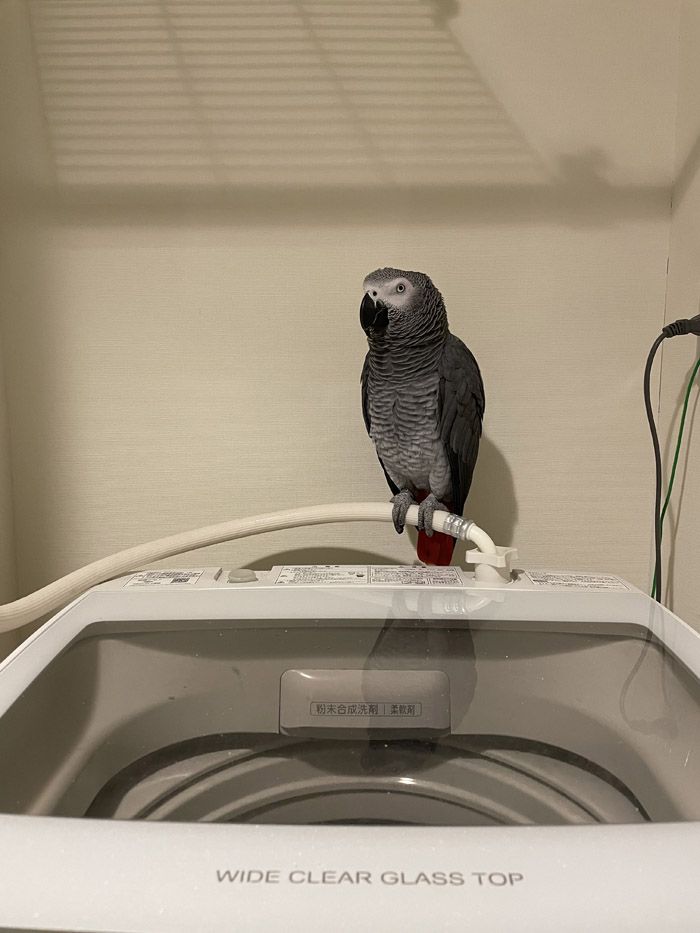 （写真提供：カマタさん）