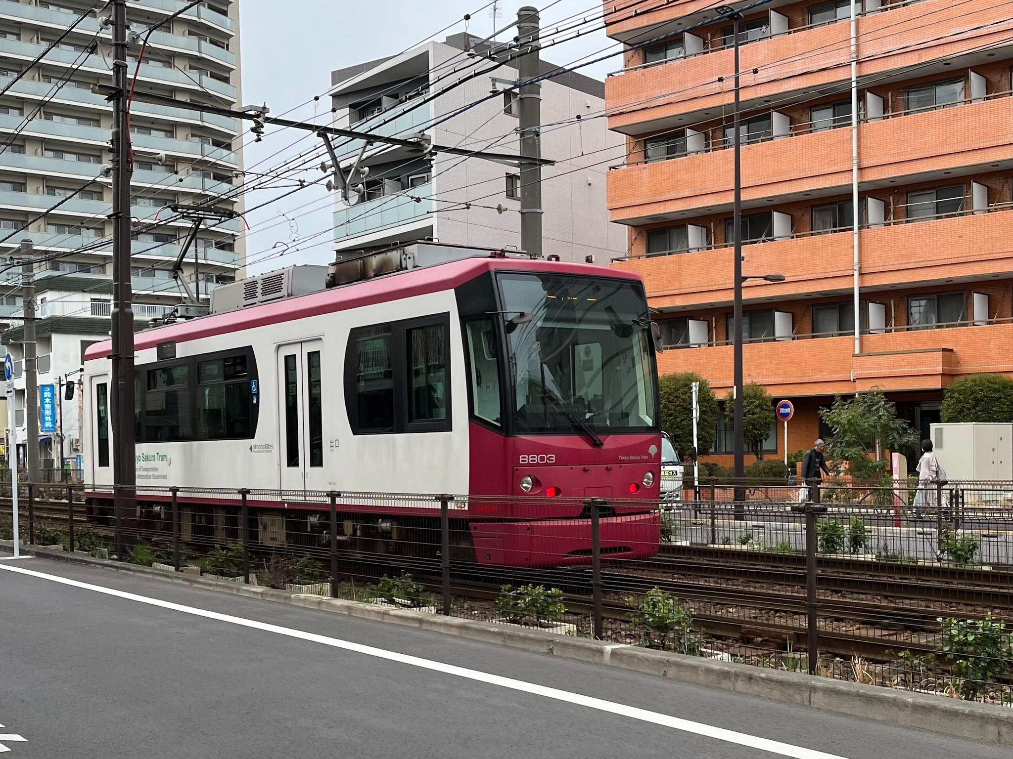 コンパクトな姿が愛らしい「都営荒川線」（写真：筆者撮影）