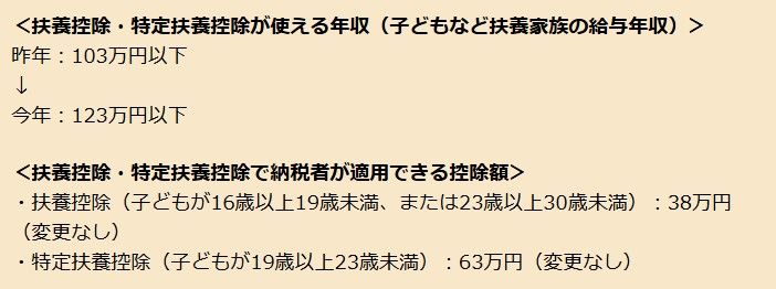 扶養控除　特定扶養控除
