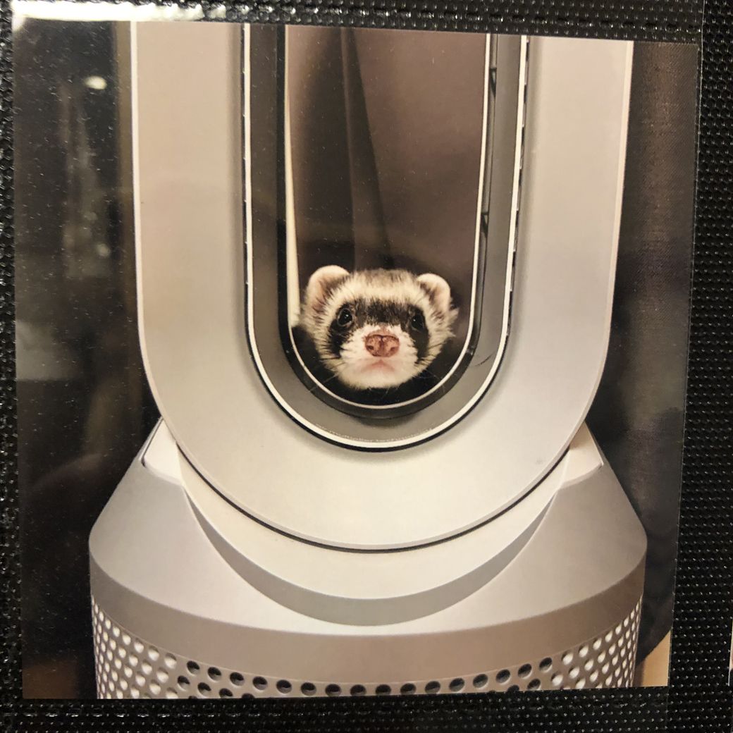 （写真提供：ミキさん）