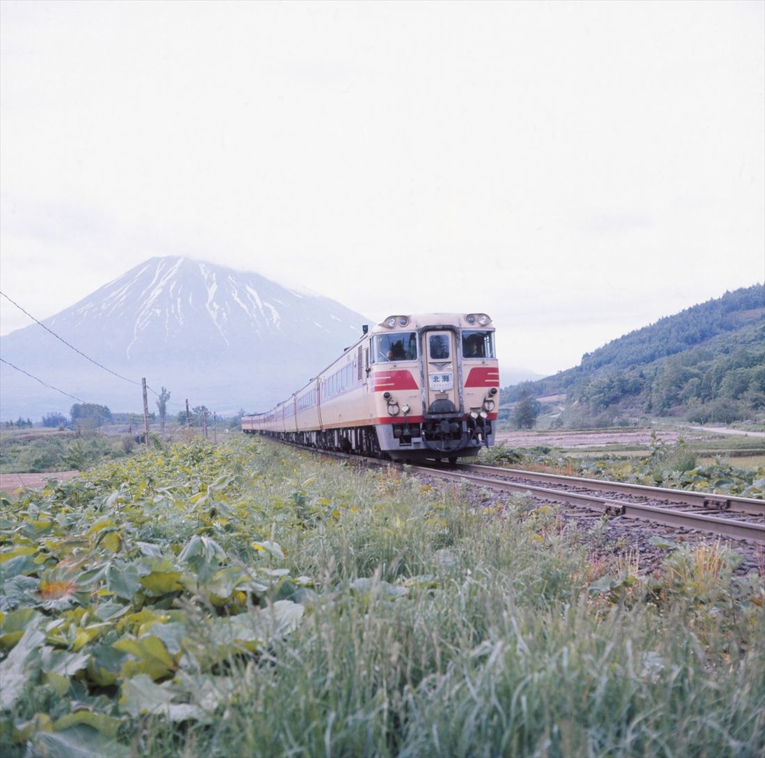 函館本線山線を走る唯一の特急だった「北海」（撮影：南正時）