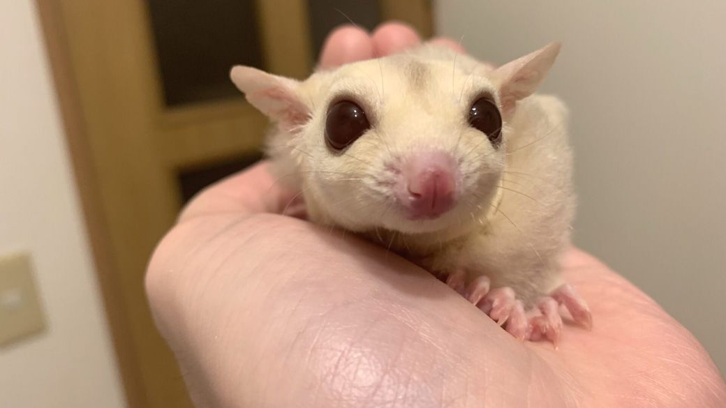 （写真提供：ひろさん）