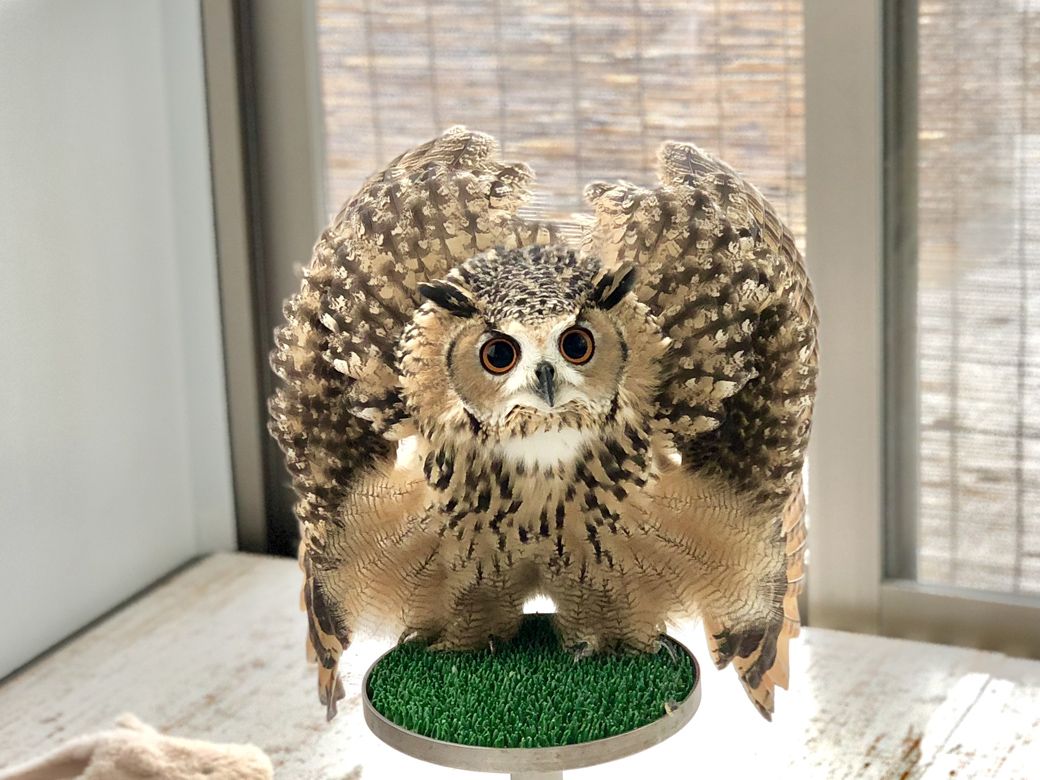 （写真提供：ゲンさん）