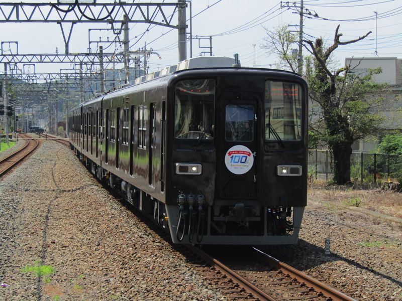 8000系 100年前の客車の色・ぶどう色1号(竹沢付近 2025年夏)（筆者撮影）