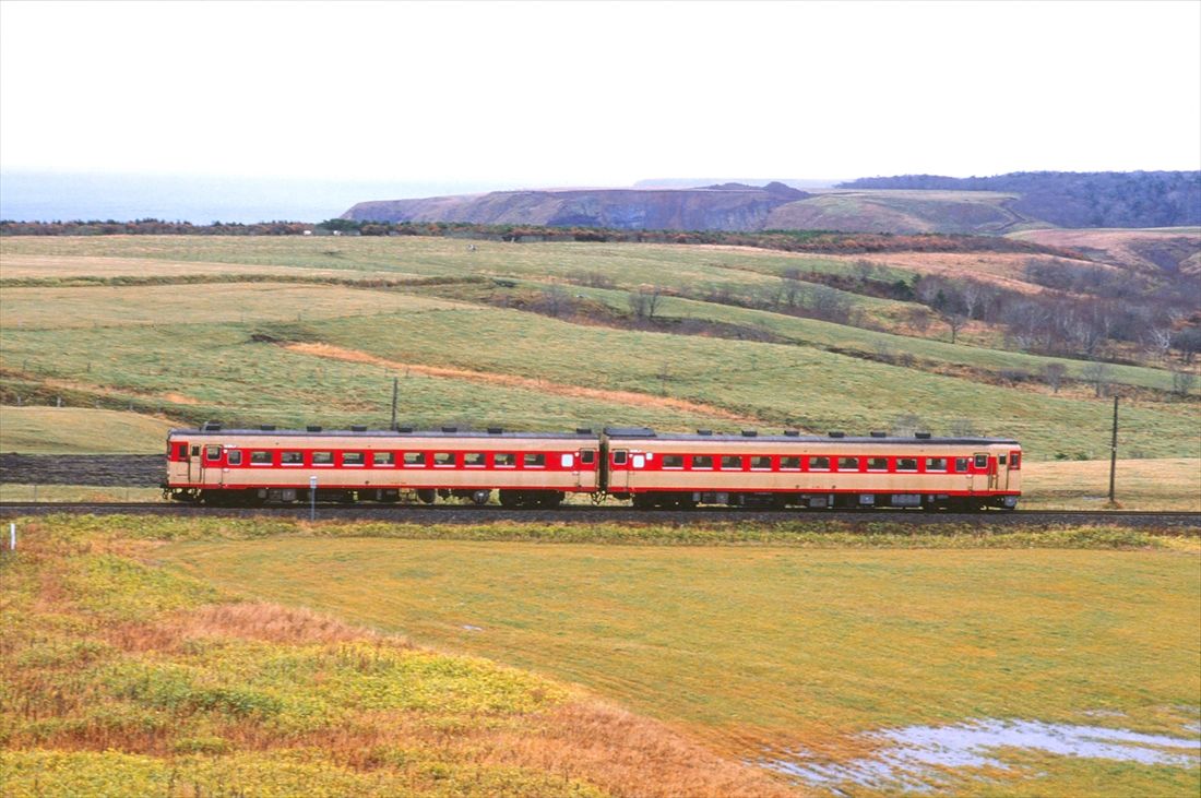 根室本線の釧路―根室間、現在は通称「花咲線」と呼ばれる区間を走るキハ56形の列車（撮影：南正時）