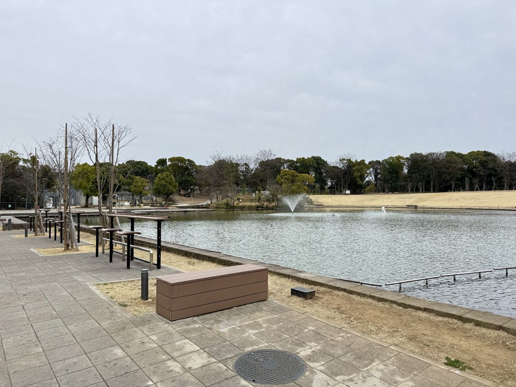 多摩中央公園。水と緑の空間が広がる（筆者撮影）