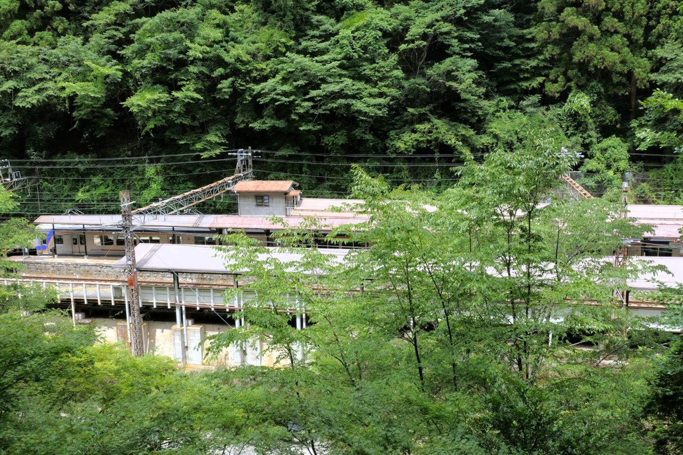 不動坂から見た高野線のホーム（記者撮影）