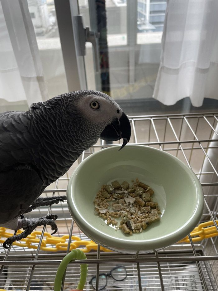 （写真提供：カマタさん）