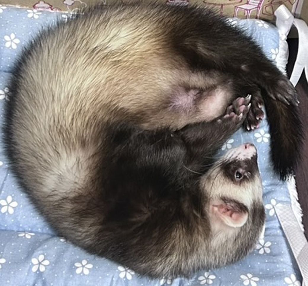 （写真提供：ミキさん）