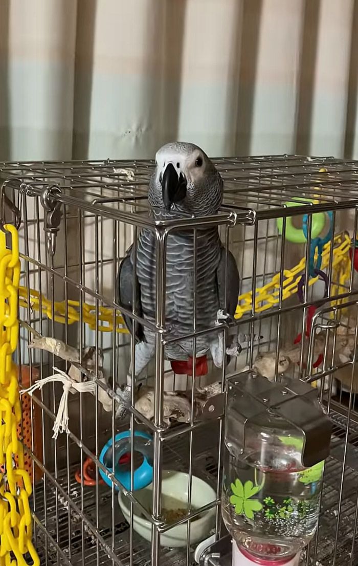 （写真提供：カマタさん）