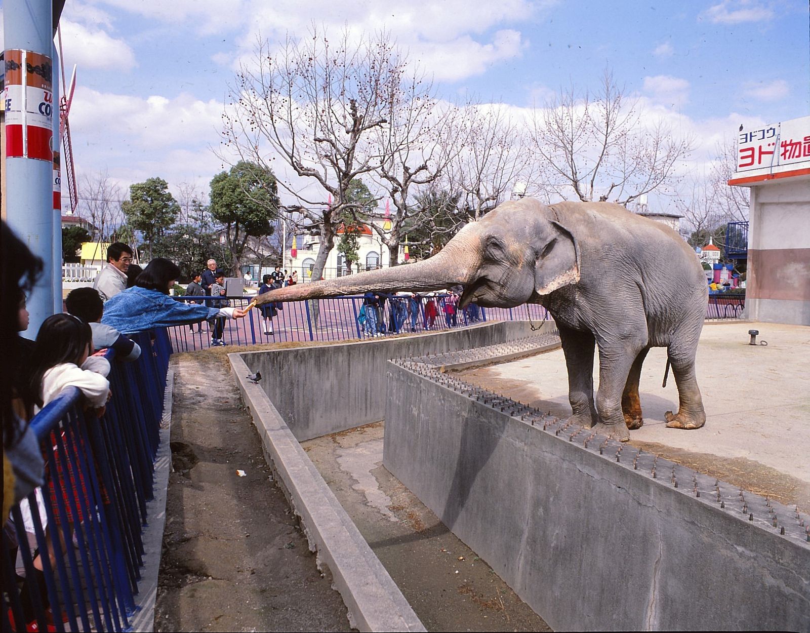阪神パークのゾウ＝1988年（出典：にしのみやデジタルアーカイブ）