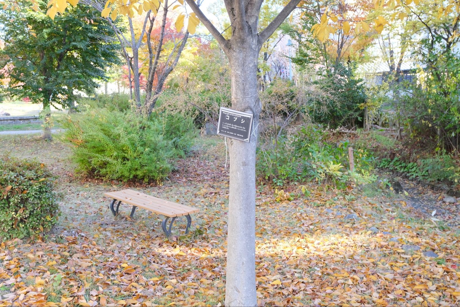 今井ニュータウン