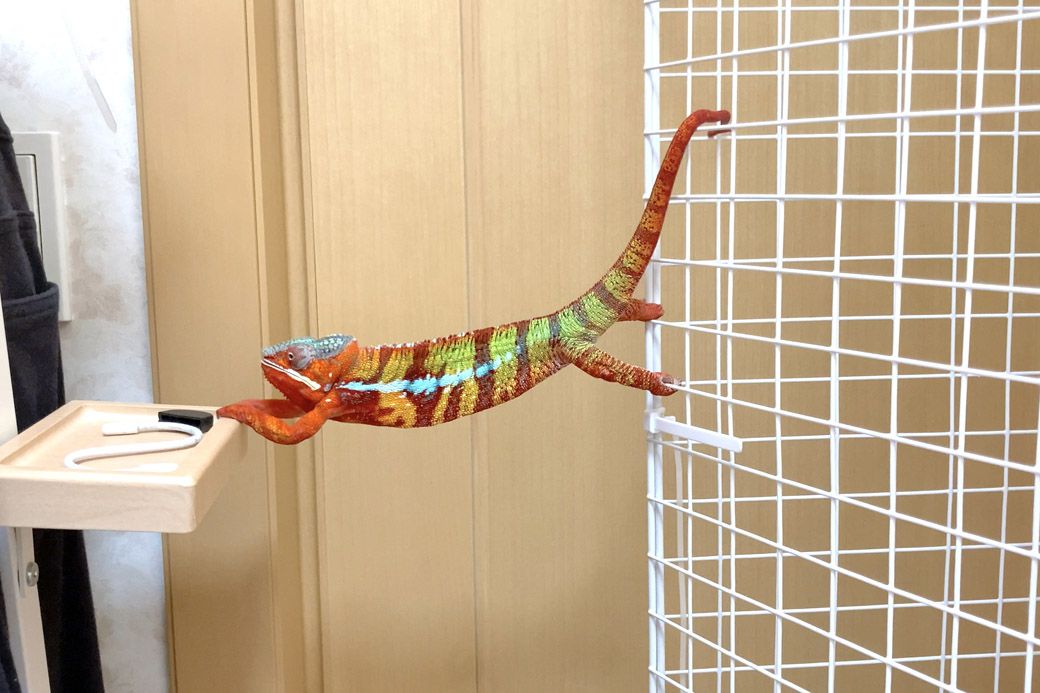 （写真：山村さん提供）