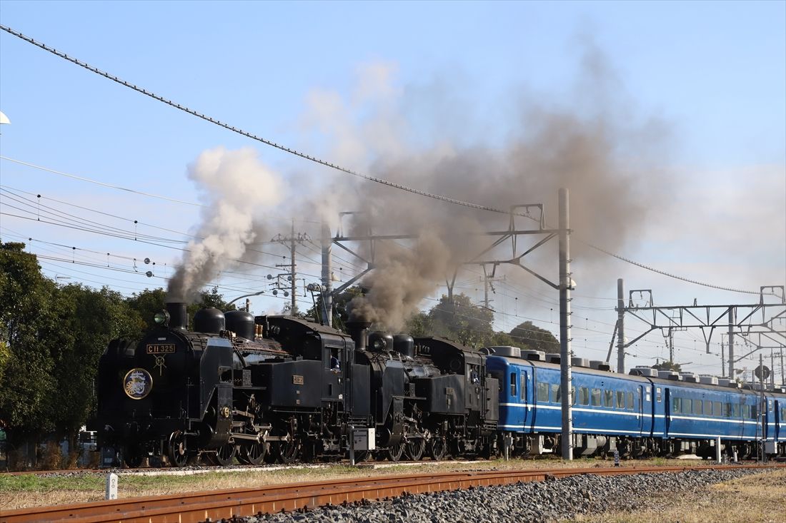 真岡鉄道から譲り受けたC11形325号機と207号機の構内重連試運転＝2020年12月6日（撮影：南正時）