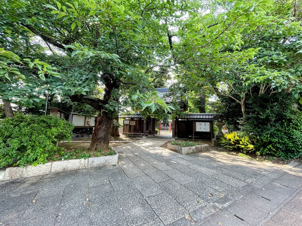 満願寺 等々力不動尊（筆者撮影）