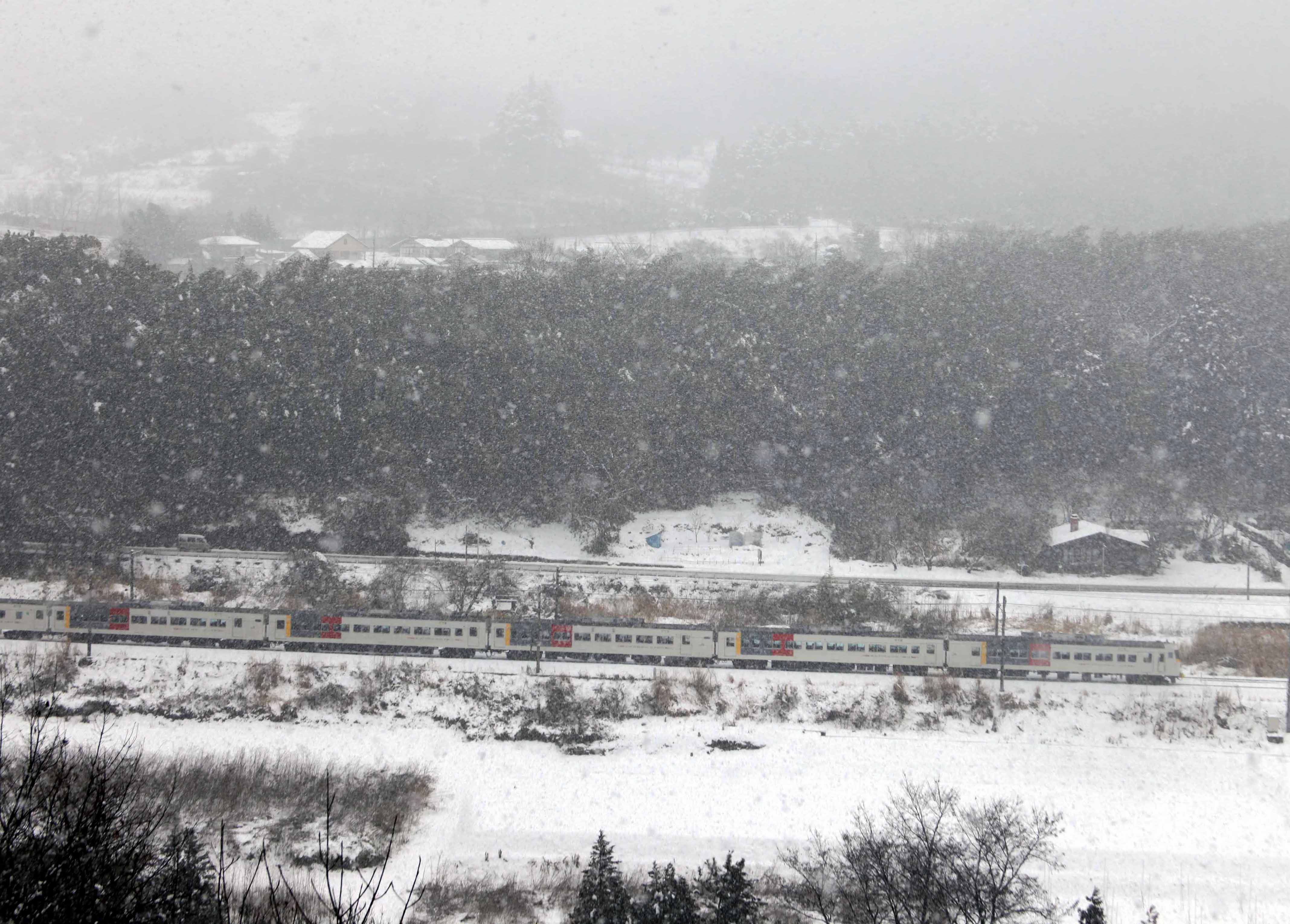 吹雪の中、上越線を走る特急「水上」（撮影：南正時）