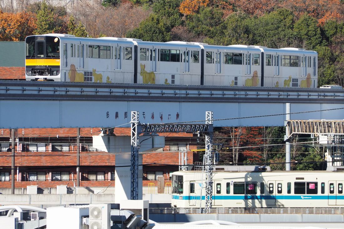 多摩センター駅付近で小田急多摩線の電車とクロスするモノレール（記者撮影）