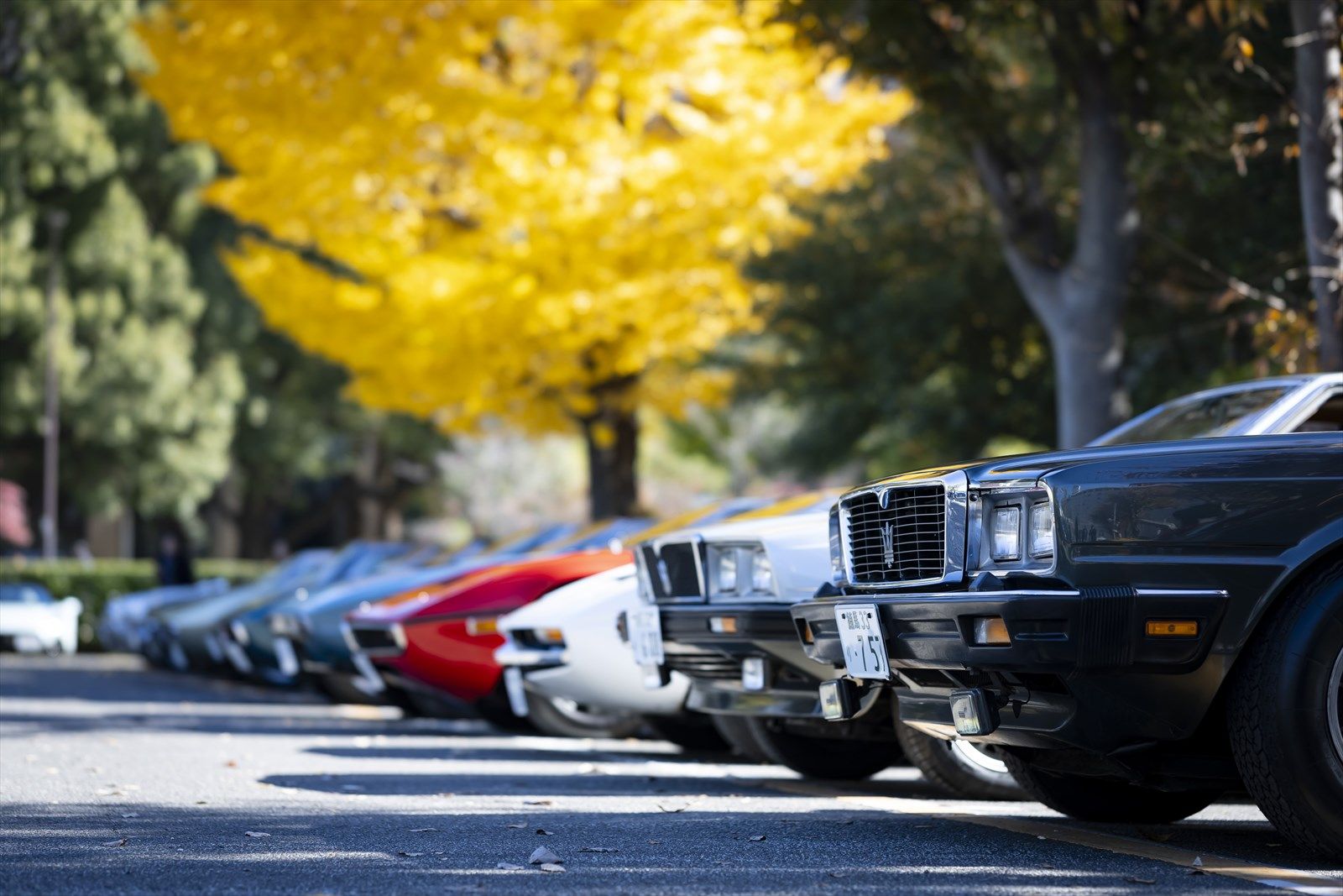 写真：Maserati Japan