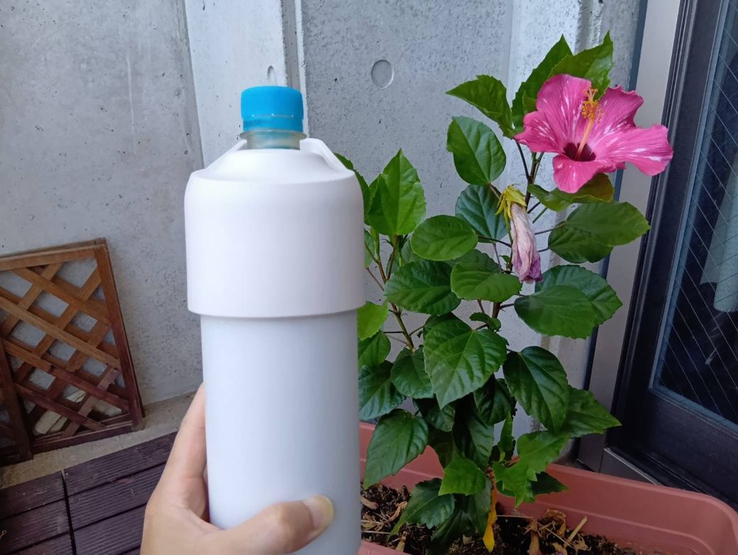けれど強めに押し込んだら入り切った（著者撮影）