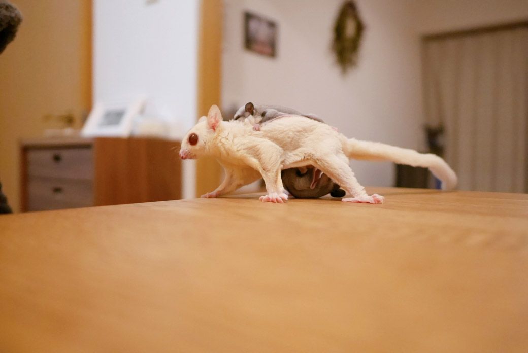 （写真：ひろさん提供）