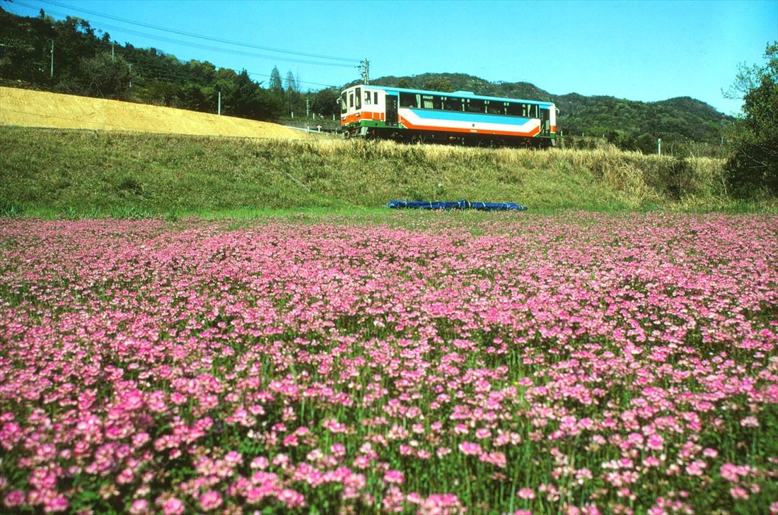 国鉄二俣線を引き継いだ天竜浜名湖鉄道の列車（撮影：南正時）