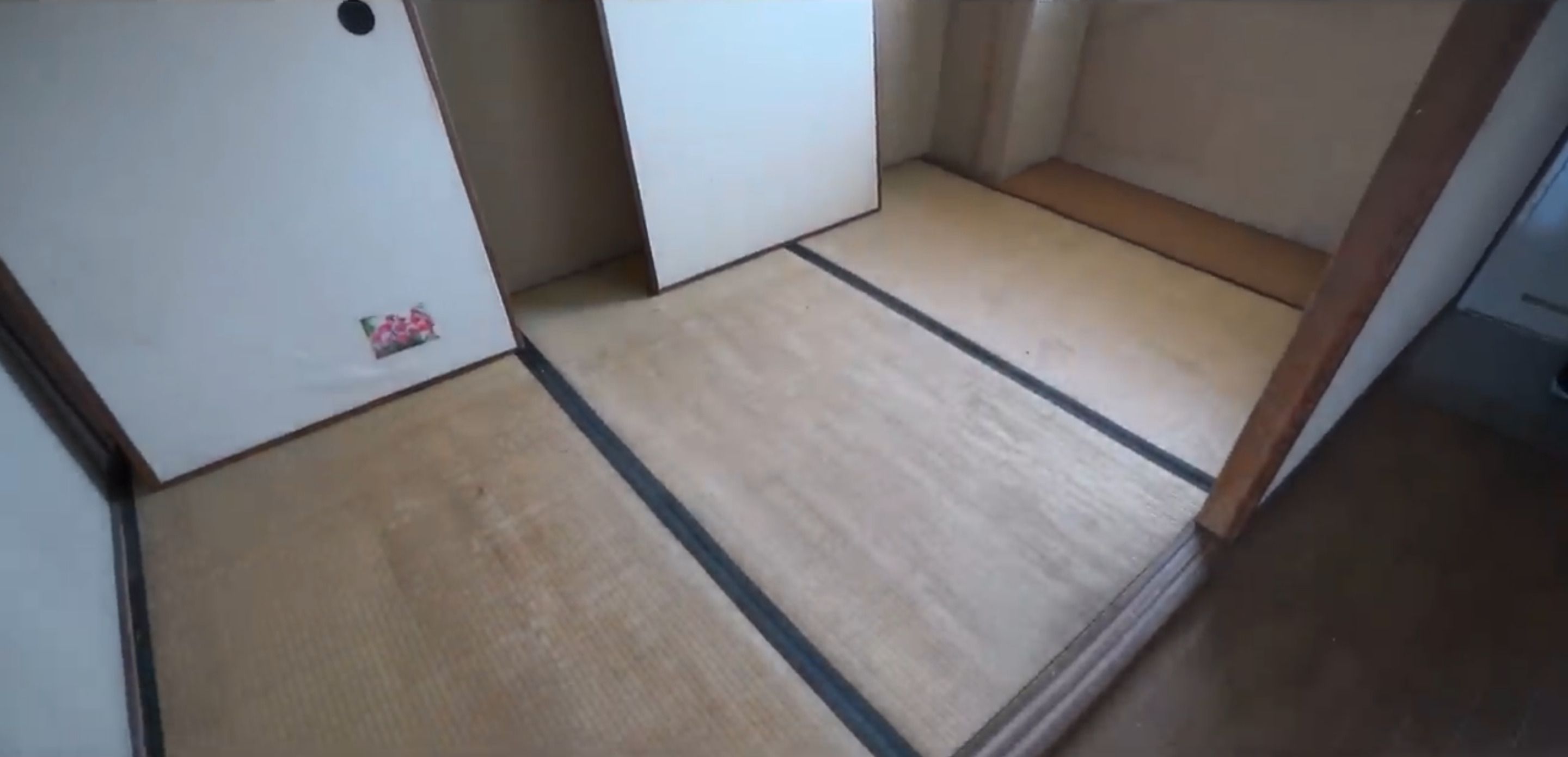 家の中には何もなくなった（写真：「イーブイ片付けチャンネル」より）