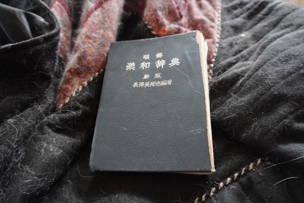 今も現役の古い辞書が、猫の毛に埋もれてソファーに無造作に置いてあった（筆者撮影）