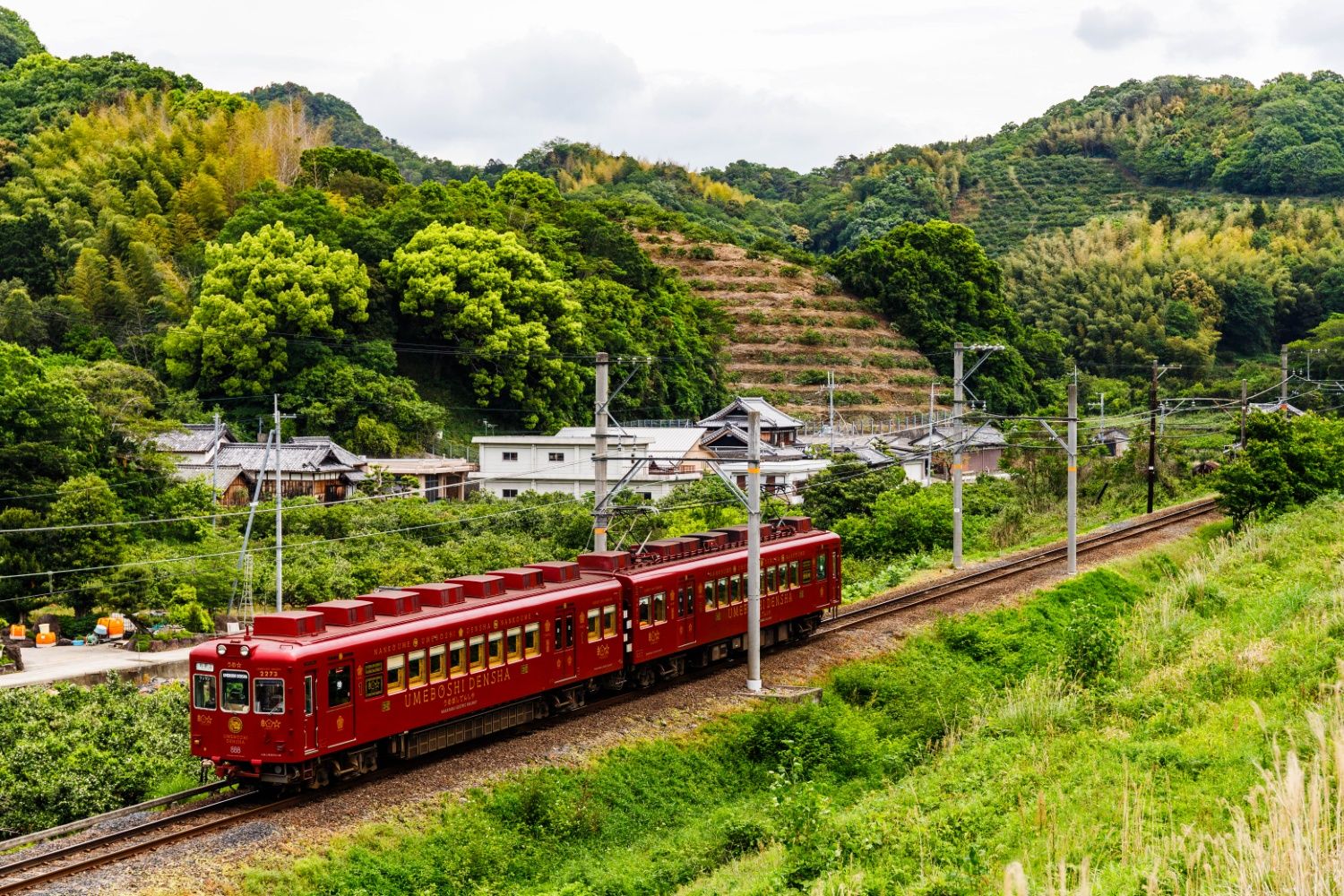 和歌山電鉄貴志川線　うめ星電車