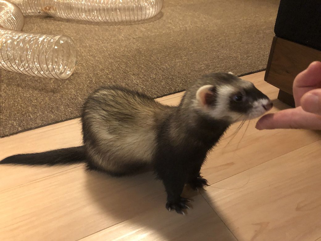 （写真提供：ミキさん）