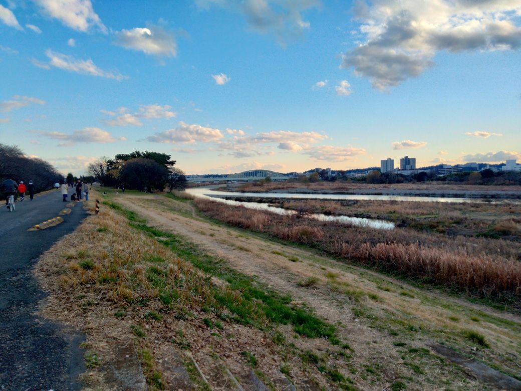 特撮や映画のロケ地として知られる多摩川の五本松（提供：コマツさん）
