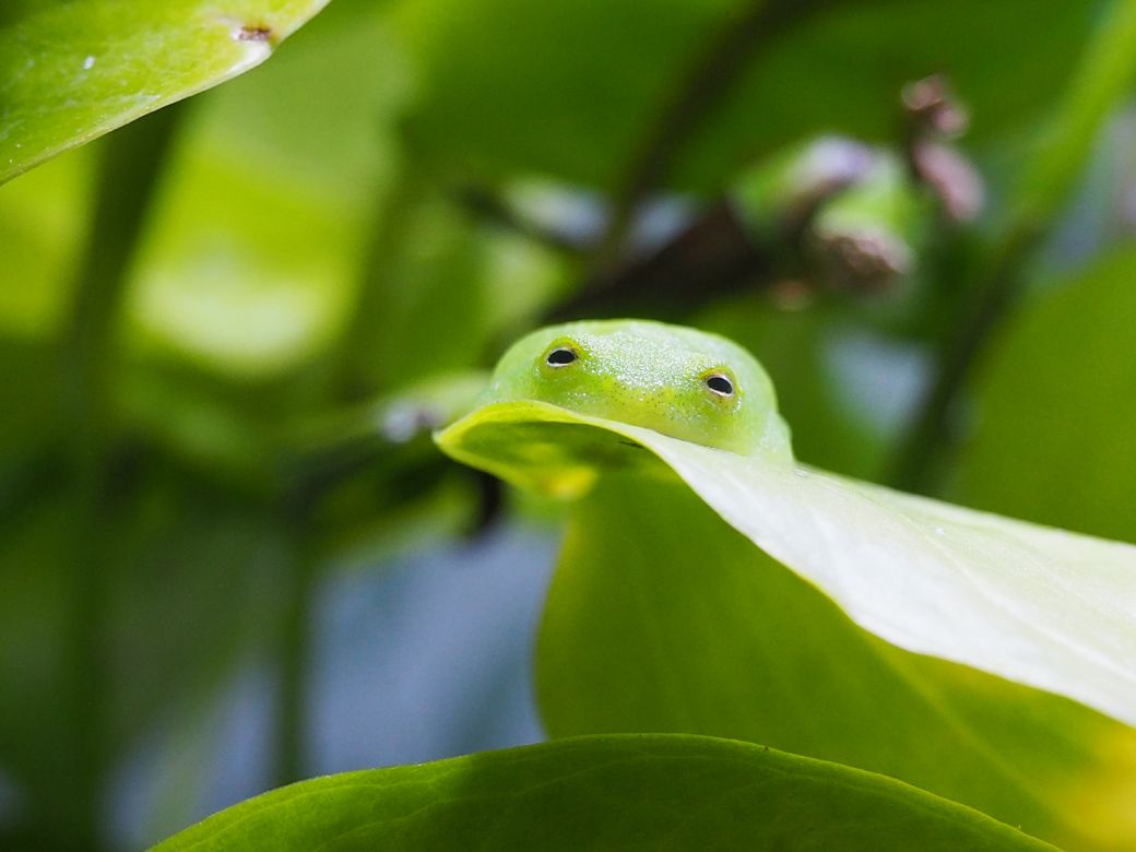 （写真提供：ぴよさん）