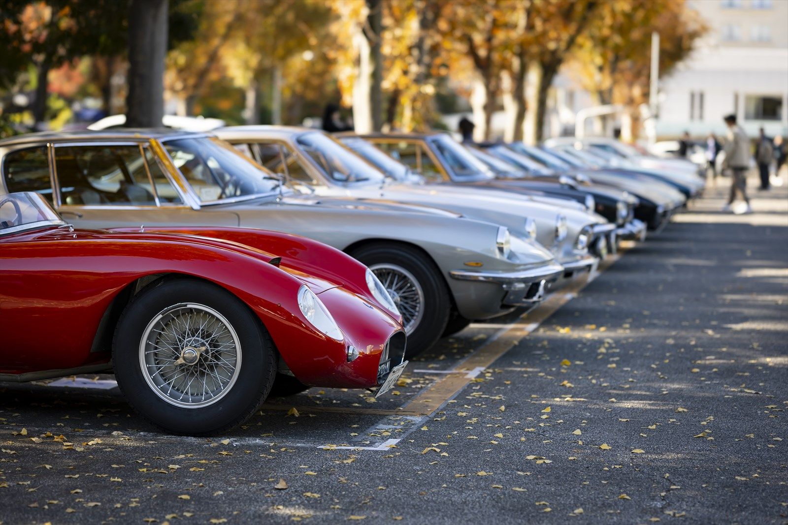 写真：Maserati Japan