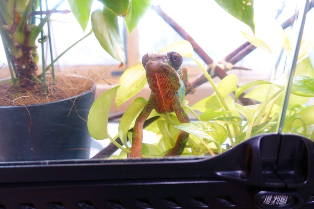 （写真：山村さん提供）