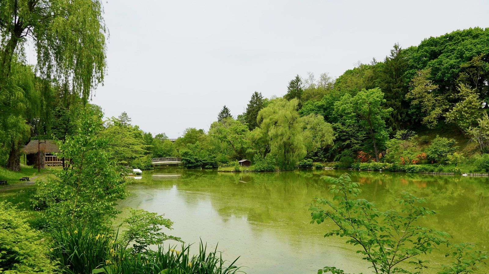 外来種を悪とする 池の水ぜんぶ抜く の疑問点 雑学 東洋経済オンライン 経済ニュースの新基準 外来種を悪とする 池の水ぜんぶ抜く の疑問点 雑学 東洋経済オンライン 経済ニュースの新基準