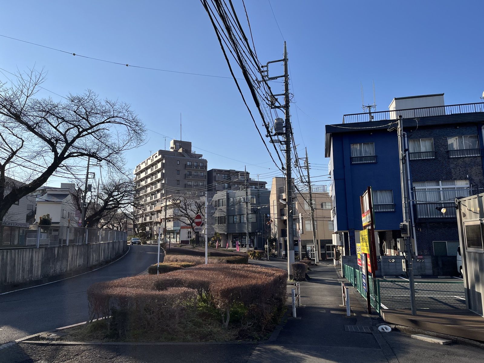 桜のロケ地