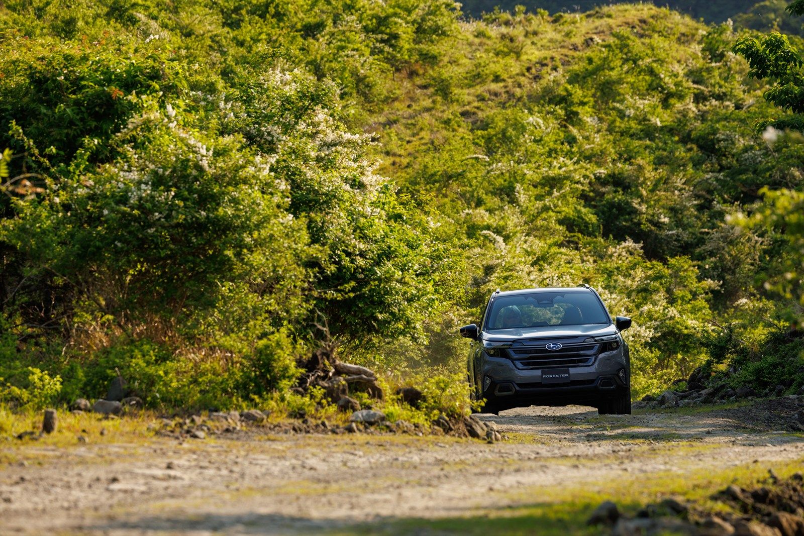 足まわりがよく動くことでオフロードでの走破性も向上（写真：SUBARU）