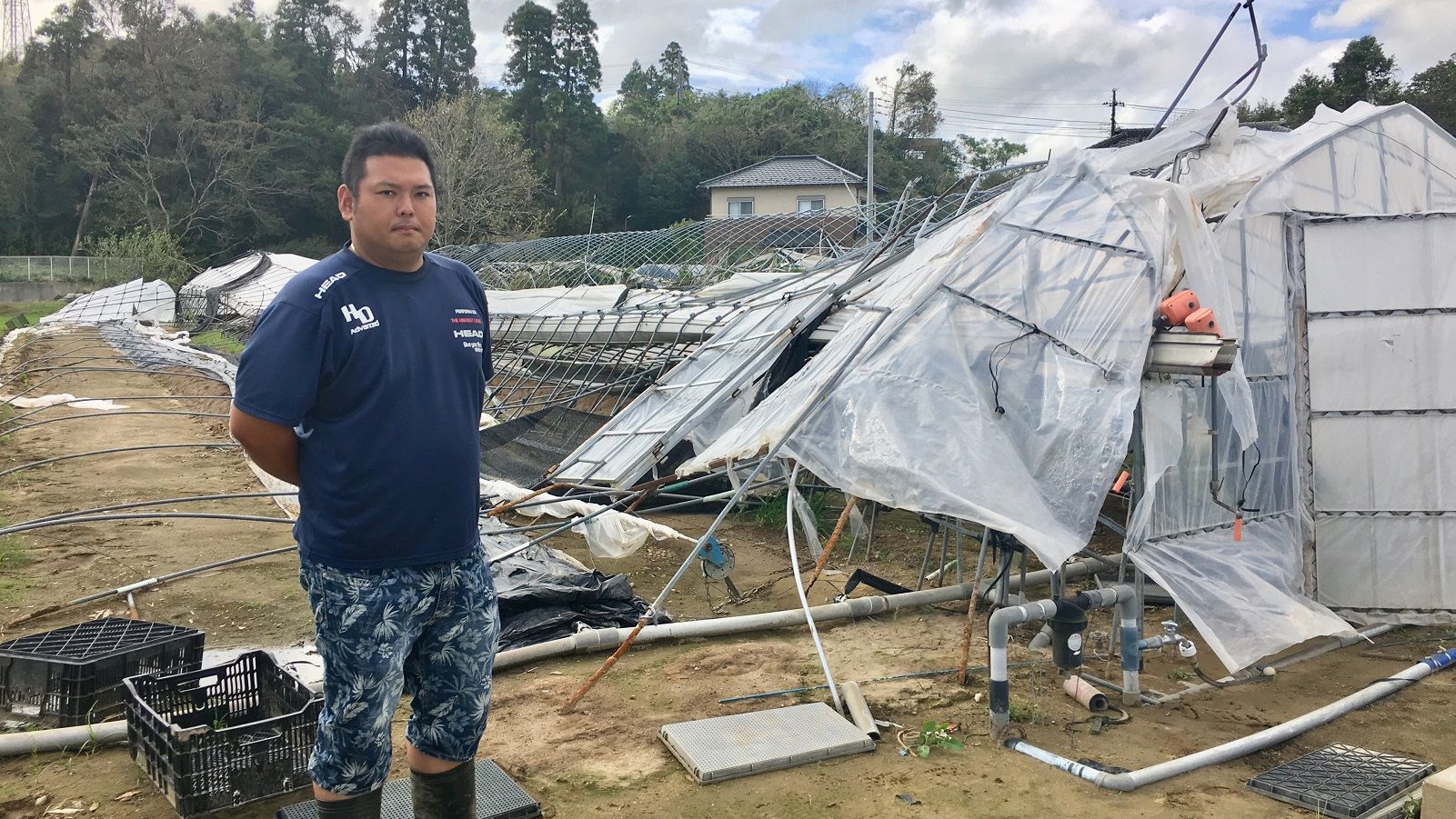 千葉のイチゴ農家 を襲った台風の厳しい現実 国内経済 東洋経済オンライン 経済ニュースの新基準