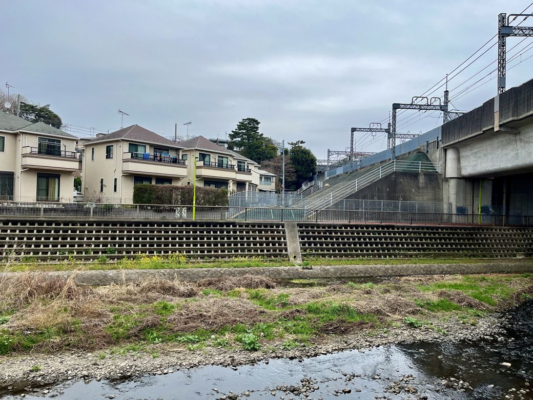 喜多見から野川を挟み、成城の丘を望む。右側には小田急線（筆者撮影）