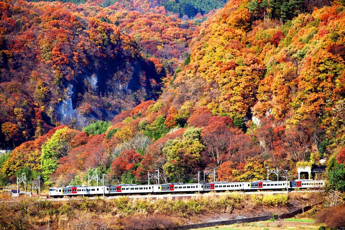 新塗装は紅葉の風景に映えた。秋の上越線を走る特急「水上」（撮影：南正時）