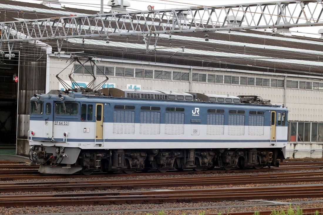 JR貨物愛知機関区にたたずむEF64形53（撮影：南正時）