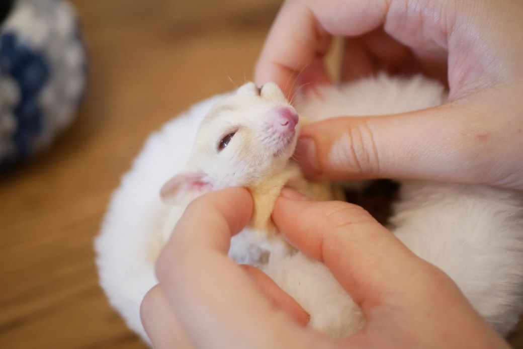 （写真：ひろさん提供）