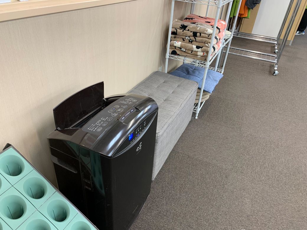 壁際に置かれた空気清浄機。きれいな空気が居心地の良さを生み出している（筆者撮影）